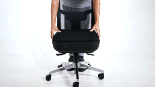 ErgoFlip fit ball chair